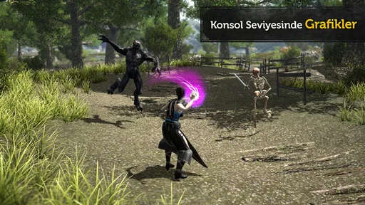 Evil Lands: MMO RPG Oyunu 2