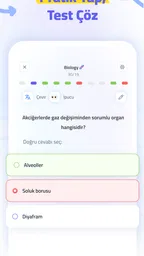 Bites 2
