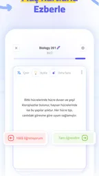 Bites 3