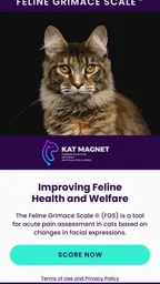 Feline Grimace Scale 1