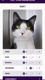 Feline Grimace Scale 3