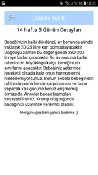 Gün Gün hamilelik Takibi 7