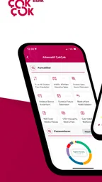 Alternatif Bank Mobil 2