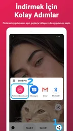 Pinterestten Video indirme 2