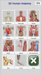 3D Bones and Organs (Anatomy) 1