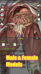 3D Bones and Organs (Anatomy) 6