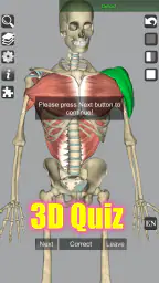 3D Bones and Organs (Anatomy) 8