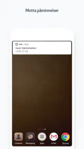 Ada screenshot