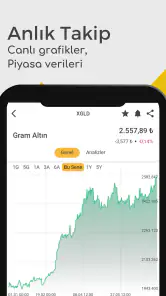 Altın Gümüş Fiyatları Canlı screenshot