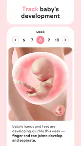 amma: Gün Gün Hamilelik Takibi screenshot