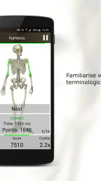 Anatomi Testi 1