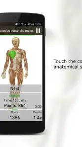Anatomi Testi screenshot