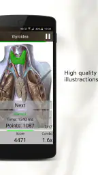 Anatomi Testi 5