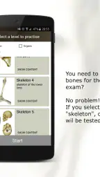Anatomi Testi 6