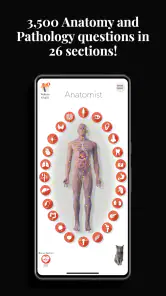 Anatomist - The Anatomy Game screenshot