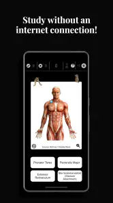 Anatomist - The Anatomy Game screenshot