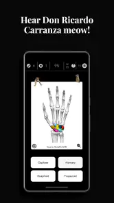 Anatomist - The Anatomy Game screenshot