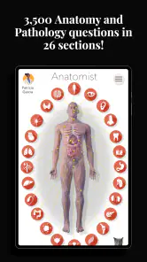 Anatomist - The Anatomy Game screenshot