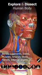 Anatomy Learning By Dr. Blanco 1
