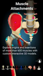 Anatomy Learning By Dr. Blanco screenshot