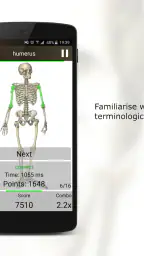 Anatomy Quiz Pro 1