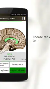 Anatomy Quiz Pro screenshot