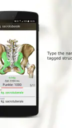 Anatomy Quiz Pro 4