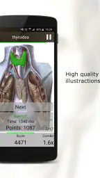 Anatomy Quiz Pro 6