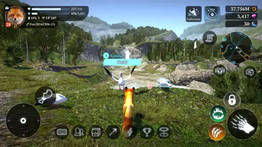 Animal Game: Hayvan Simülatörü 7