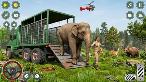 Animal Transporter:cargo truck 3