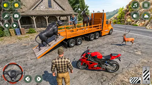 Animal Transporter:cargo truck 6