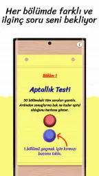 Aptallık Testi 2