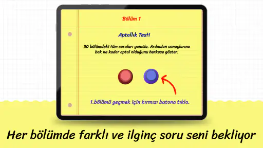 Aptallık Testi 8