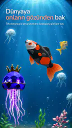 Aquary: Calm Aquarium 2
