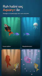 Aquary: Calm Aquarium 6