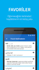 Arapça Türkçe Sözlük screenshot