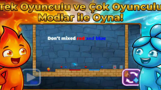 Ateş ve Su: Online Co-op 4