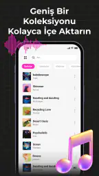 Audio Insight-Çevrimdışı Müzik 1