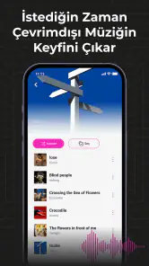 Audio Insight-Çevrimdışı Müzik screenshot