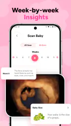 Baby Growth & Pregnant Health 2