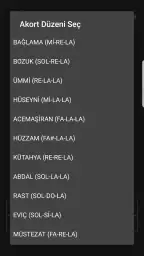 Bağlama Akort 2