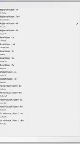 Bağlama Akort Programı screenshot