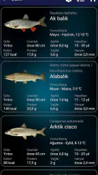 Balık tutma tahmini 6