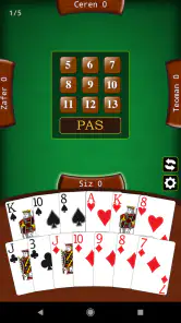 Batak Master İnternetsiz Batak screenshot