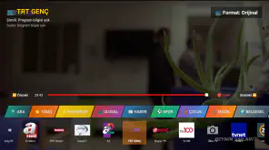 Beleş TiVi screenshot