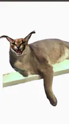 Big Floppa 3