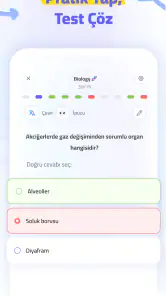 Bites screenshot