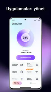 BlazeClean screenshot