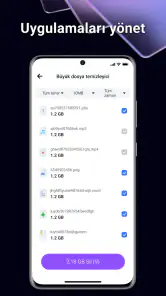 BlazeClean screenshot