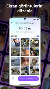 BlazeClean screenshot
